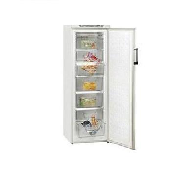 Фризер 230л - EXQUISIT GS300A+